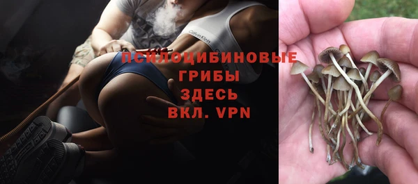 трава Алексеевка