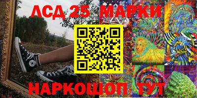 шишки Лесосибирск