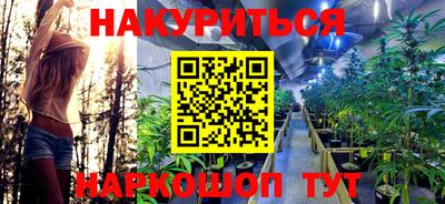 шишки Лесосибирск