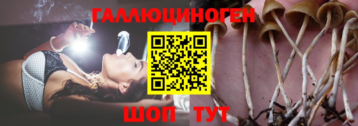 Чебаркуль  Псилоцибиновые грибы Magic Shrooms  дарнет шоп  Вход с VPN 